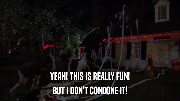 YEAH! THIS IS REALLY FUN! BUT I DON'T CONDONE IT! 
