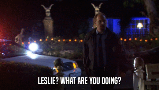 LESLIE? WHAT ARE YOU DOING?  