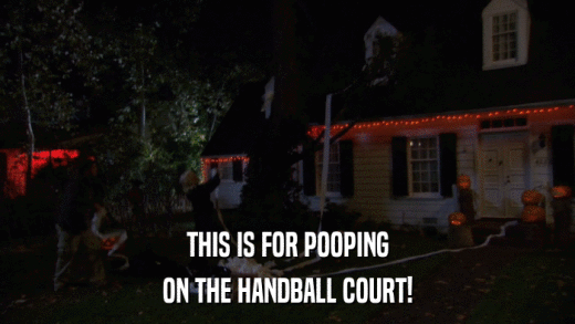 THIS IS FOR POOPING ON THE HANDBALL COURT! 