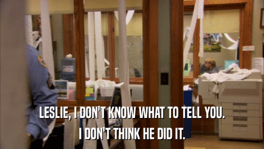 LESLIE, I DON'T KNOW WHAT TO TELL YOU. I DON'T THINK HE DID IT. 