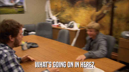 WHAT'S GOING ON IN HERE?  