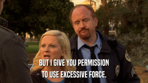 BUT I GIVE YOU PERMISSION TO USE EXCESSIVE FORCE. 