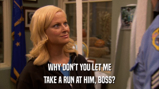 WHY DON'T YOU LET ME TAKE A RUN AT HIM, BOSS? 