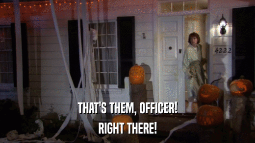 THAT'S THEM, OFFICER! RIGHT THERE! 