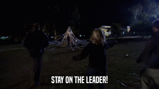 STAY ON THE LEADER!  