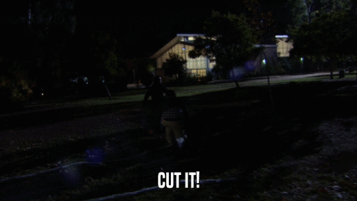 CUT IT!  