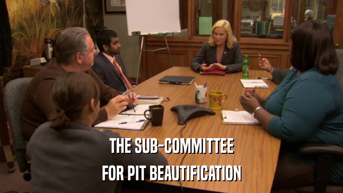 THE SUB-COMMITTEE FOR PIT BEAUTIFICATION 