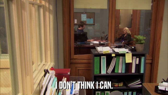 I DON'T THINK I CAN.  