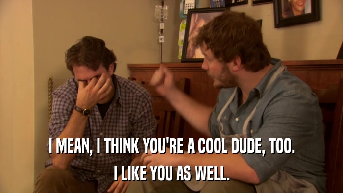 I MEAN, I THINK YOU'RE A COOL DUDE, TOO. I LIKE YOU AS WELL. 