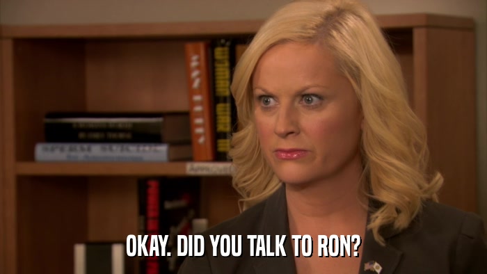 OKAY. DID YOU TALK TO RON?  