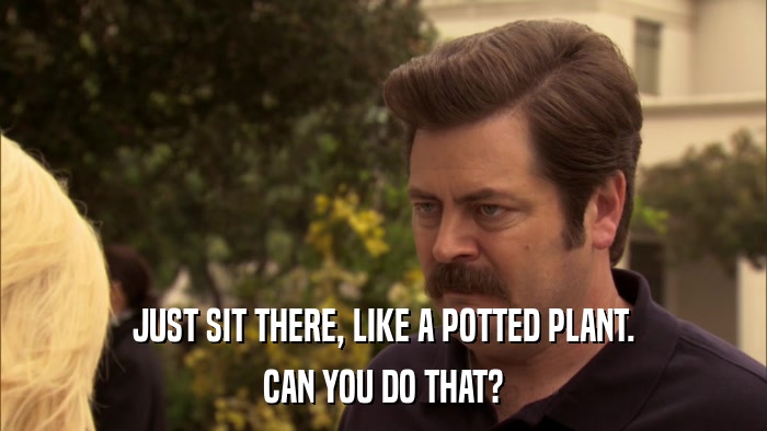 JUST SIT THERE, LIKE A POTTED PLANT. CAN YOU DO THAT? 