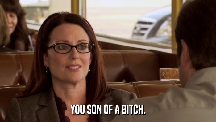 YOU SON OF A BITCH.  