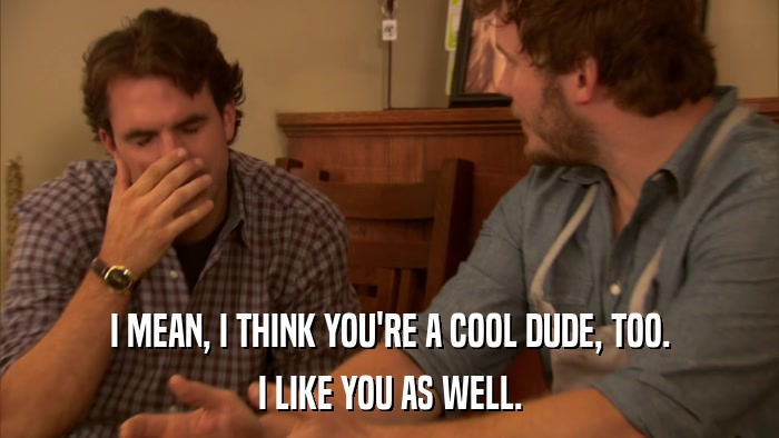 I MEAN, I THINK YOU'RE A COOL DUDE, TOO. I LIKE YOU AS WELL. 