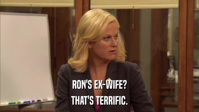 RON'S EX-WIFE? THAT'S TERRIFIC. 