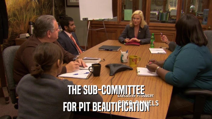 THE SUB-COMMITTEE FOR PIT BEAUTIFICATION 