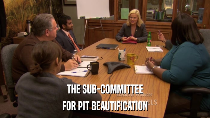 THE SUB-COMMITTEE FOR PIT BEAUTIFICATION 