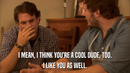 I MEAN, I THINK YOU'RE A COOL DUDE, TOO. I LIKE YOU AS WELL. 