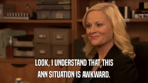 LOOK, I UNDERSTAND THAT THIS ANN SITUATION IS AWKWARD. 