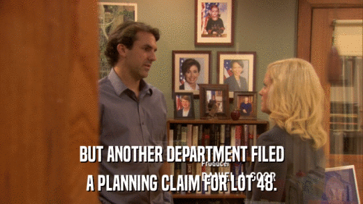 BUT ANOTHER DEPARTMENT FILED A PLANNING CLAIM FOR LOT 48. 
