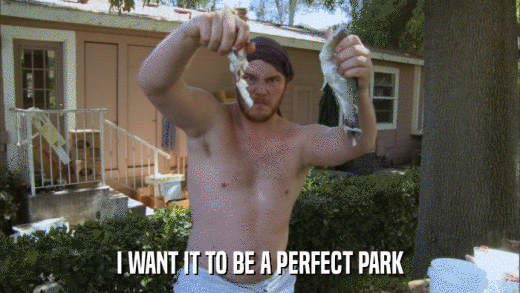 I WANT IT TO BE A PERFECT PARK  