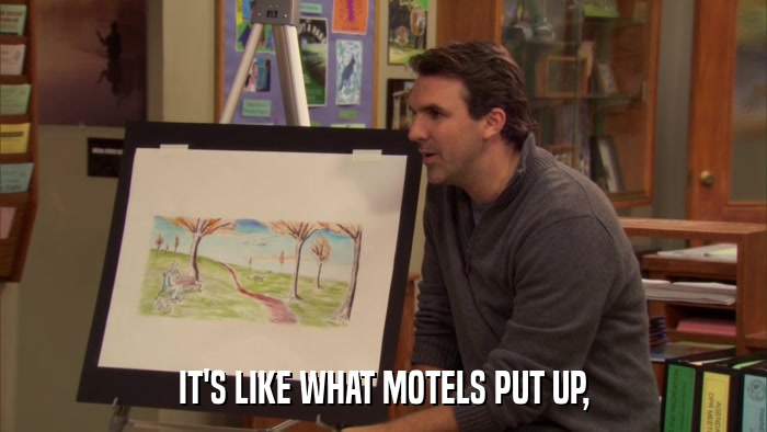 IT'S LIKE WHAT MOTELS PUT UP,  