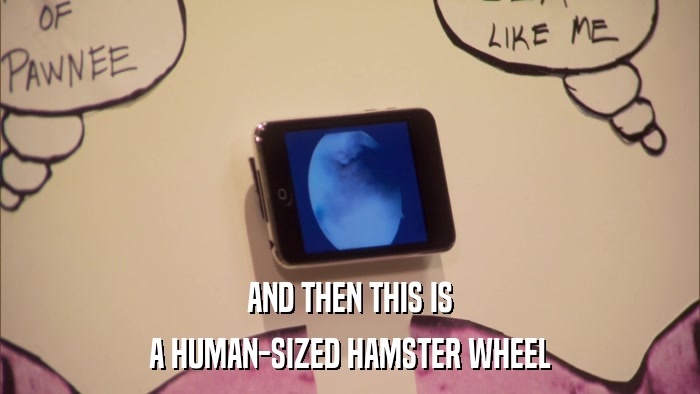 AND THEN THIS IS A HUMAN-SIZED HAMSTER WHEEL 