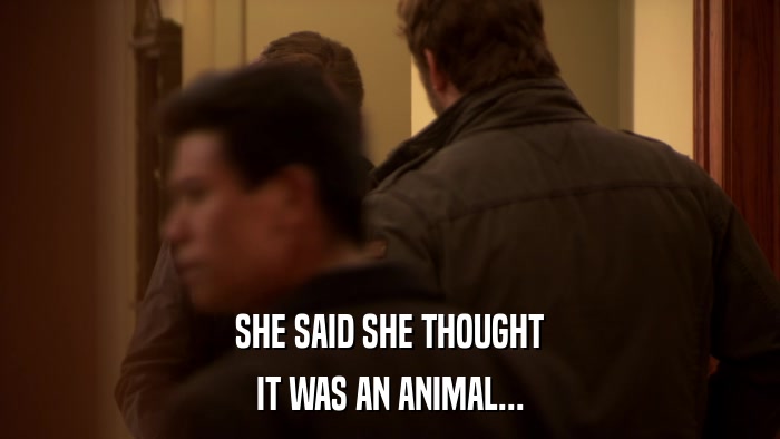 SHE SAID SHE THOUGHT IT WAS AN ANIMAL... 