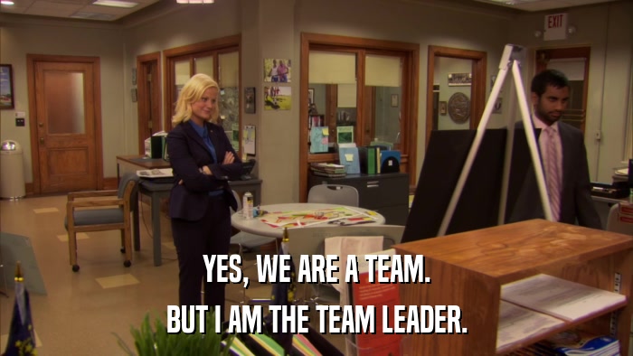 YES, WE ARE A TEAM. BUT I AM THE TEAM LEADER. 