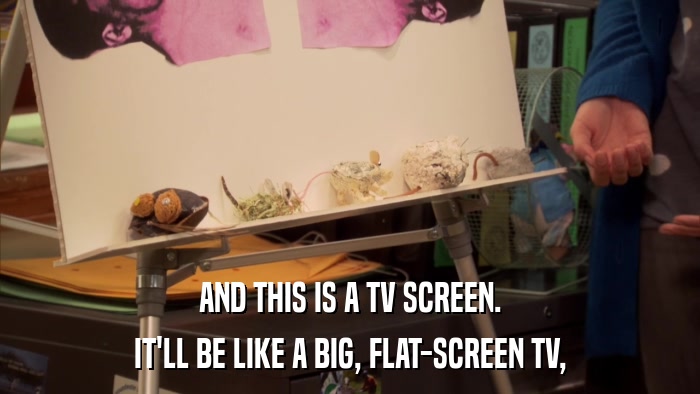 AND THIS IS A TV SCREEN. IT'LL BE LIKE A BIG, FLAT-SCREEN TV, 