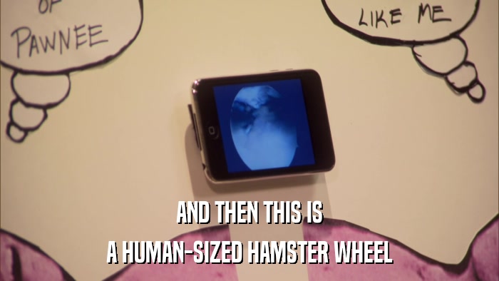 AND THEN THIS IS A HUMAN-SIZED HAMSTER WHEEL 