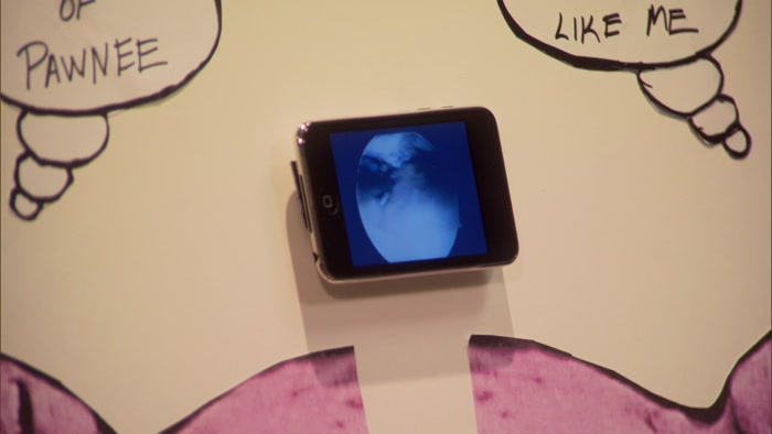 AND IT WILL PLAY LOOPED VIDEO OF KNEE SURGERIES. 