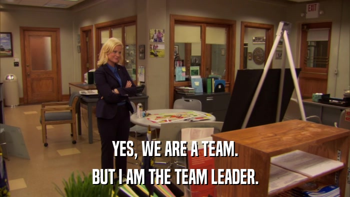 YES, WE ARE A TEAM. BUT I AM THE TEAM LEADER. 