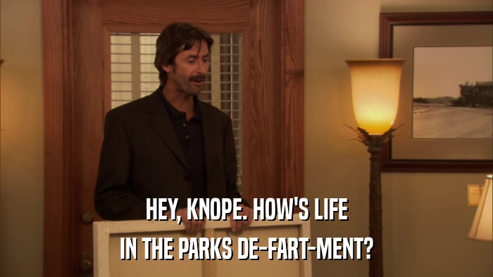 HEY, KNOPE. HOW'S LIFE IN THE PARKS DE-FART-MENT? 