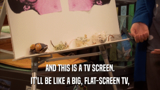 AND THIS IS A TV SCREEN. IT'LL BE LIKE A BIG, FLAT-SCREEN TV, 