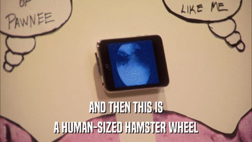 AND THEN THIS IS A HUMAN-SIZED HAMSTER WHEEL 