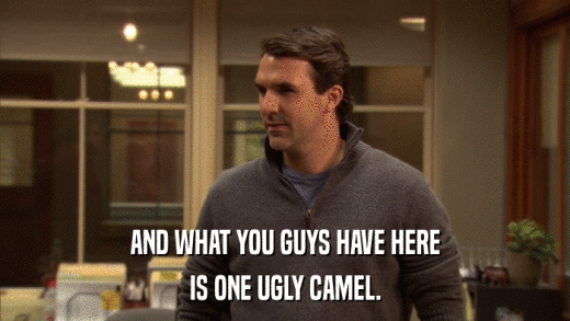 AND WHAT YOU GUYS HAVE HERE IS ONE UGLY CAMEL. 