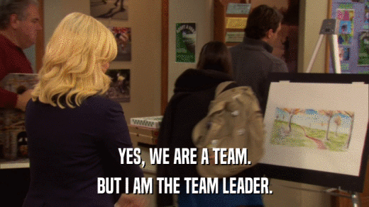 YES, WE ARE A TEAM. BUT I AM THE TEAM LEADER. 