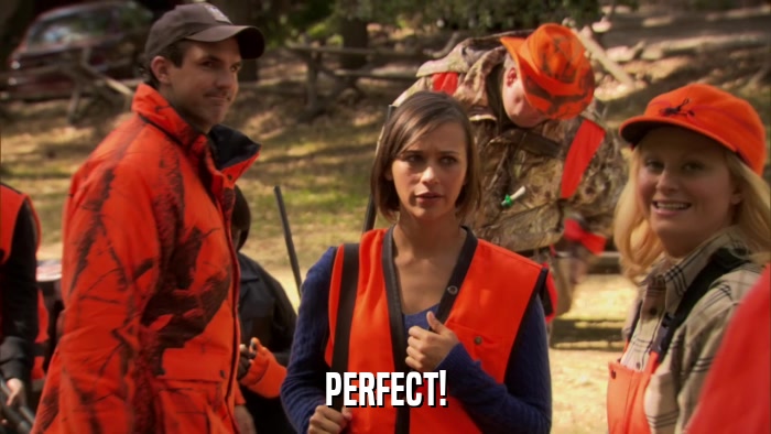 PERFECT!  