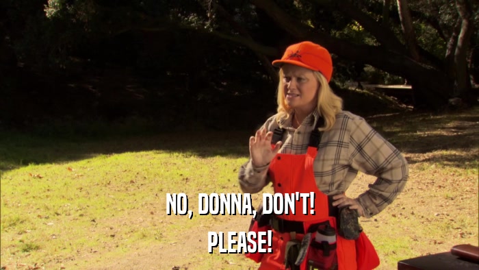 NO, DONNA, DON'T! PLEASE! 