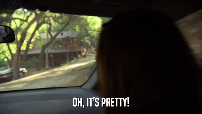 OH, IT'S PRETTY!  