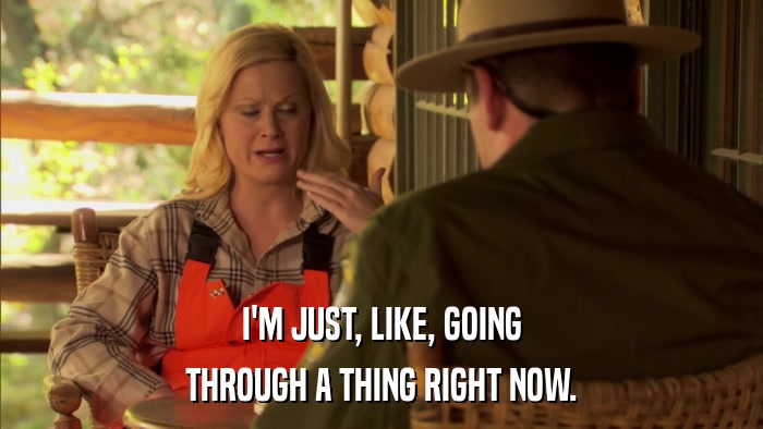 I'M JUST, LIKE, GOING THROUGH A THING RIGHT NOW. 