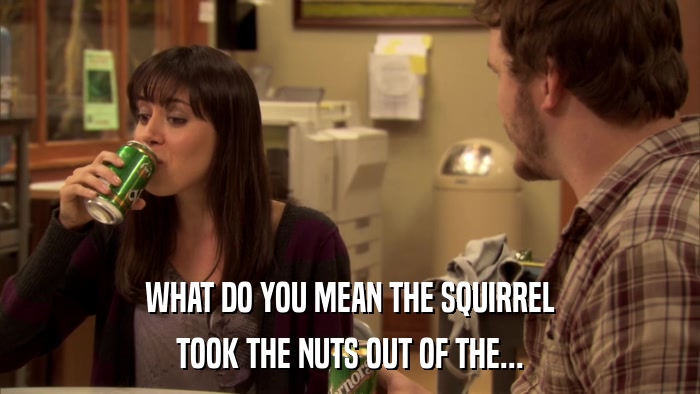 WHAT DO YOU MEAN THE SQUIRREL TOOK THE NUTS OUT OF THE... 