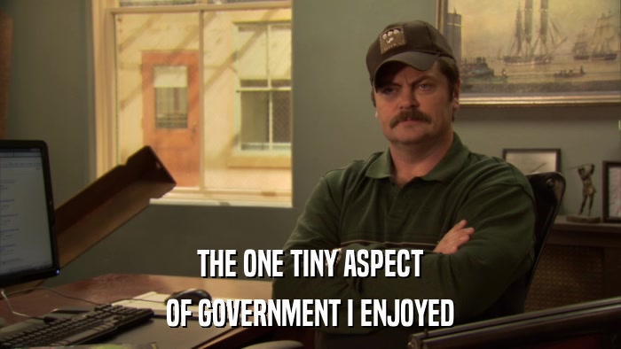 THE ONE TINY ASPECT OF GOVERNMENT I ENJOYED 