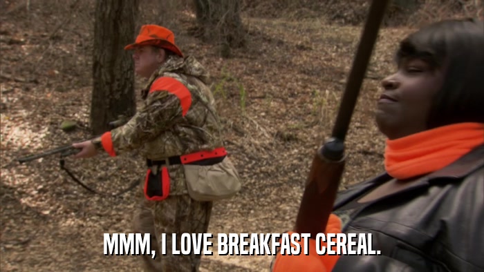 MMM, I LOVE BREAKFAST CEREAL.  