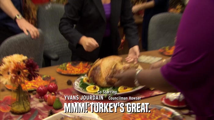 MMM! TURKEY'S GREAT.  