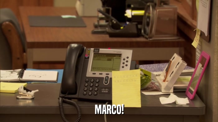 MARCO!  