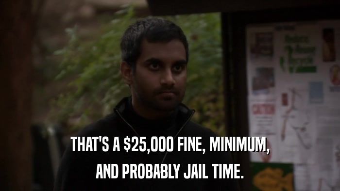 THAT'S A $25,000 FINE, MINIMUM, AND PROBABLY JAIL TIME. 