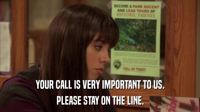 YOUR CALL IS VERY IMPORTANT TO US. PLEASE STAY ON THE LINE. 
