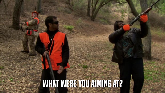 WHAT WERE YOU AIMING AT?  