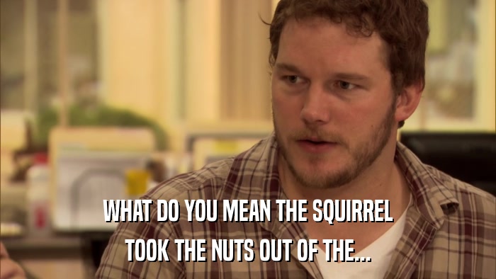 WHAT DO YOU MEAN THE SQUIRREL TOOK THE NUTS OUT OF THE... 
